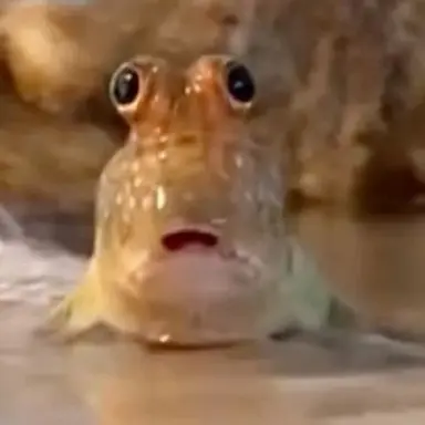 Profile image of 워터