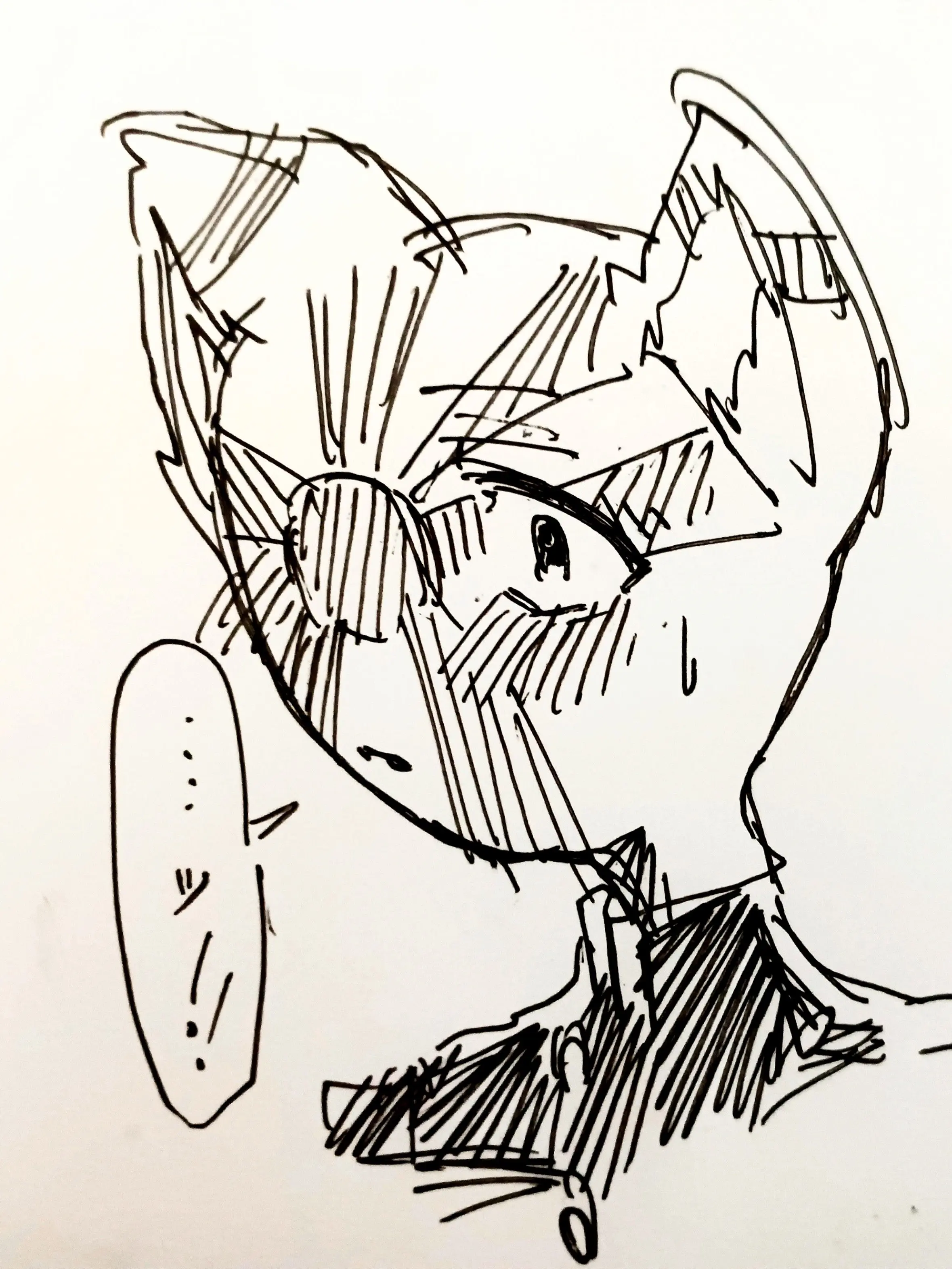 Mer_DESU의 不可抗力。