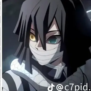 Profile image of Obanai Iguro