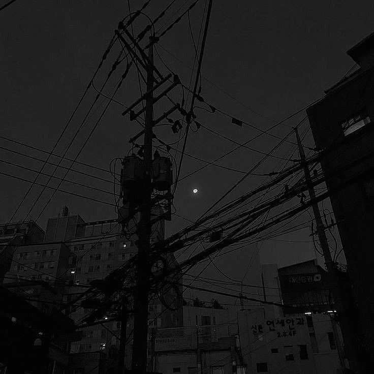Move and Mood 대표 이미지