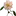 데이지