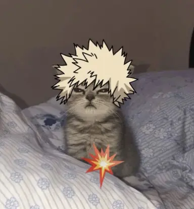 Profile image of Katsuki Bakugo