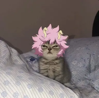 Profile image of Mina Ashido