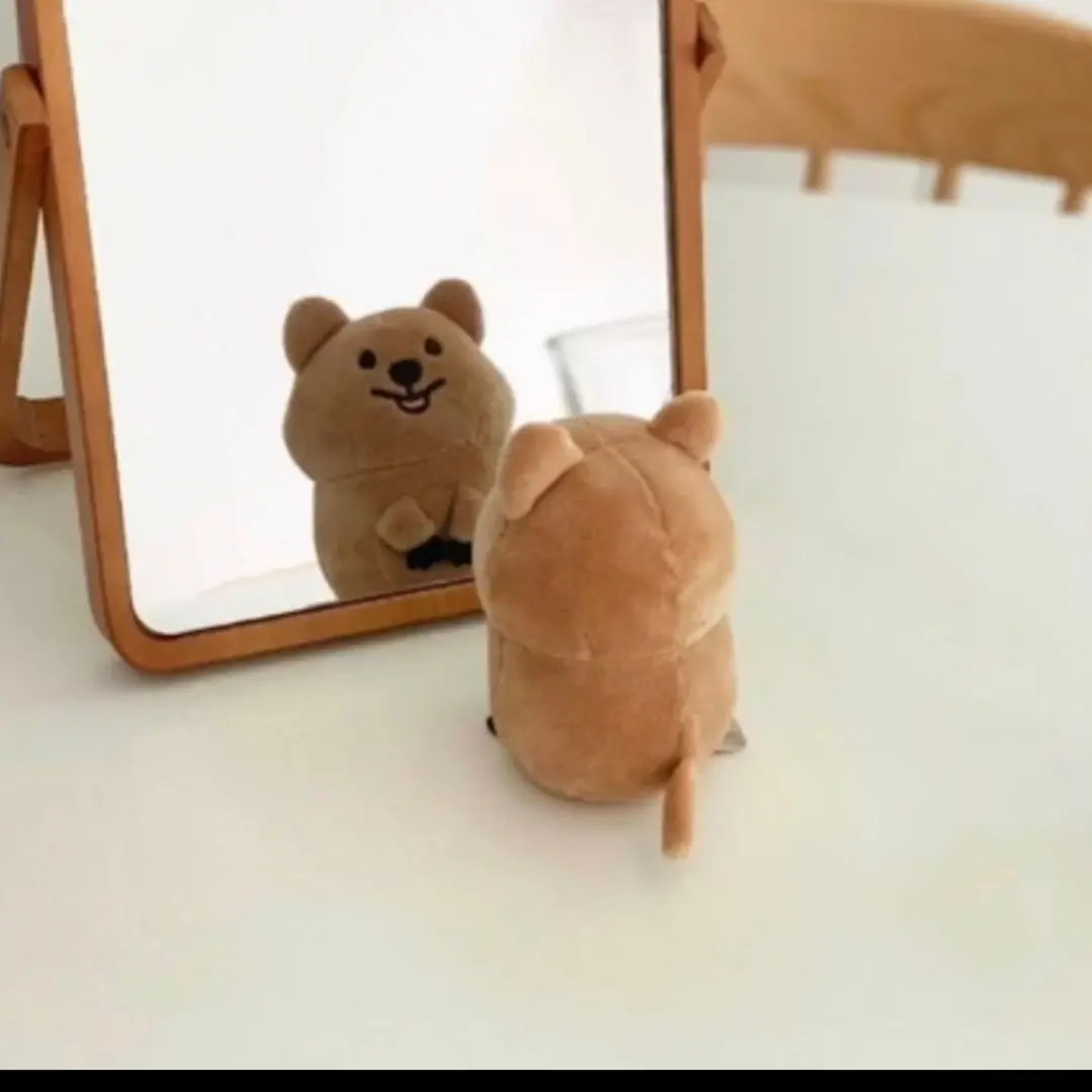 08080113.LEE.JIAN의 엔믹스가 규진이 되보자!