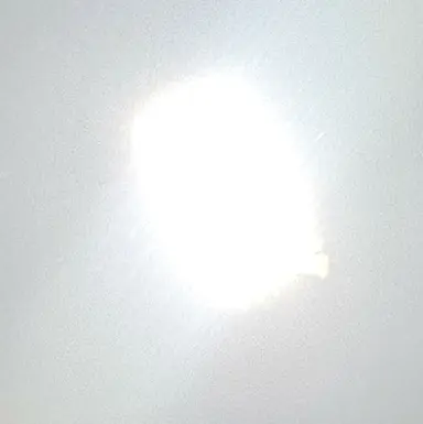 Profile image of 찰스 올리베이라