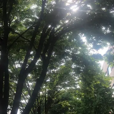 Profile image of 조승연