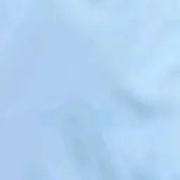 Profile image of ころん