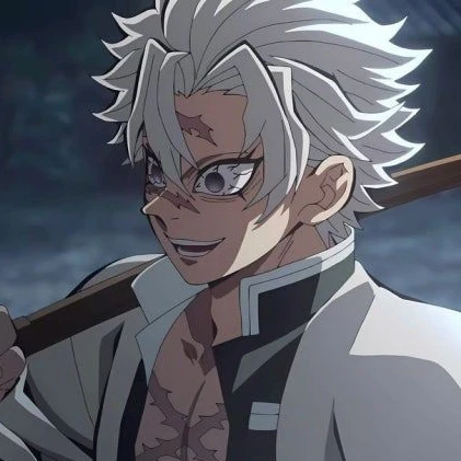 시나즈가와 사네미