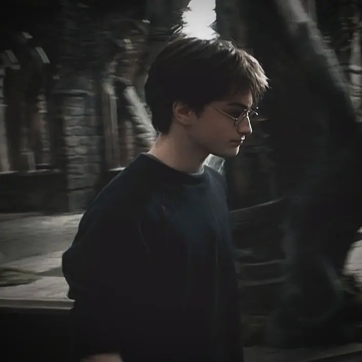 Ssuui의 Harry potter