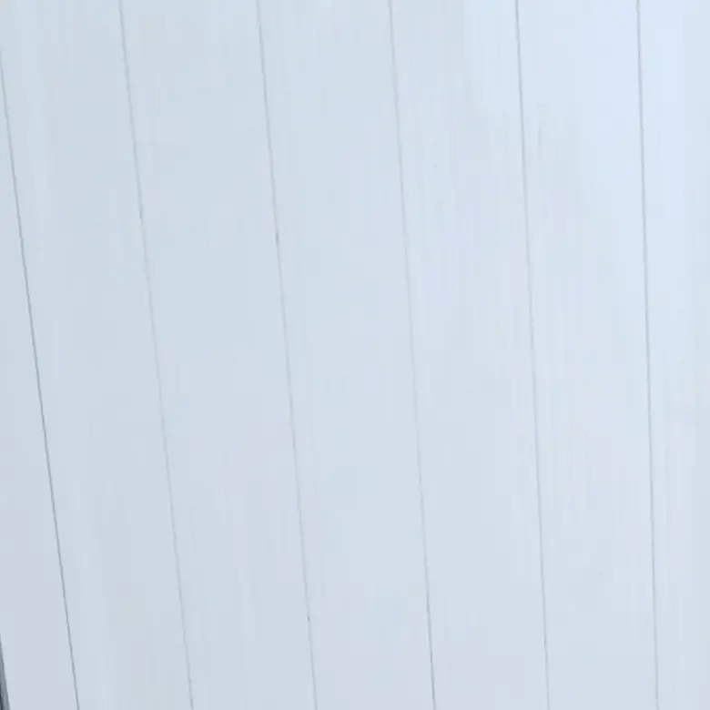 ThinPlume4000의 경이로운 소문