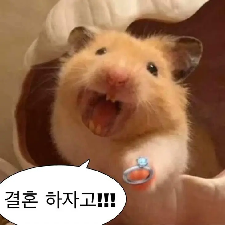 Yuraherayuna의 기미한