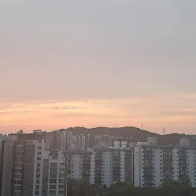 Profile image of 덕개