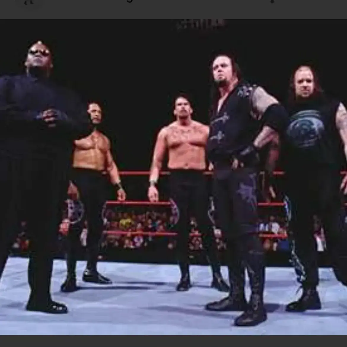 FleshyBed4455의 WWE