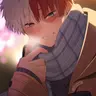 Profile image of Shoto Todoroki