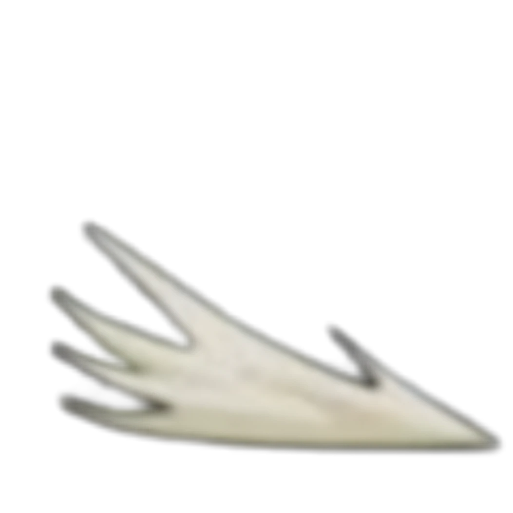 安田