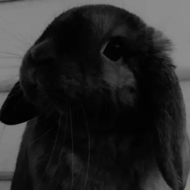 Profile image of JN
