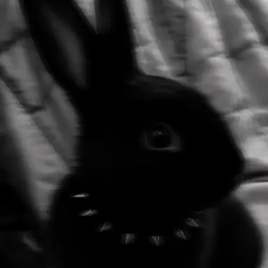 Profile image of JH