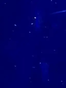 mimizuk-0011의 青猫警察官さん。