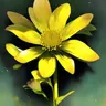 Profile image of 自由