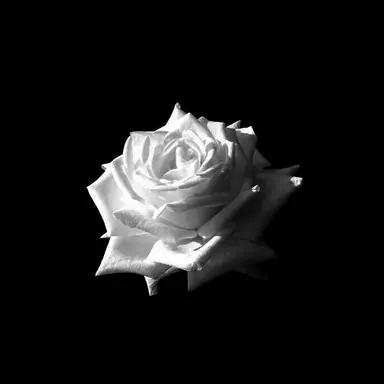 Profile image of 권오재