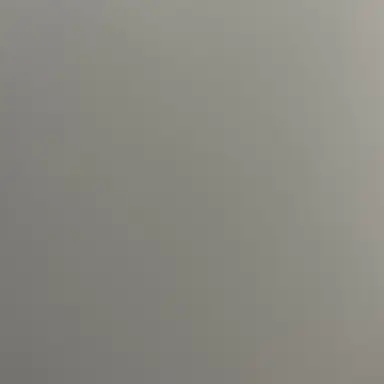 Profile image of 키라리 아메