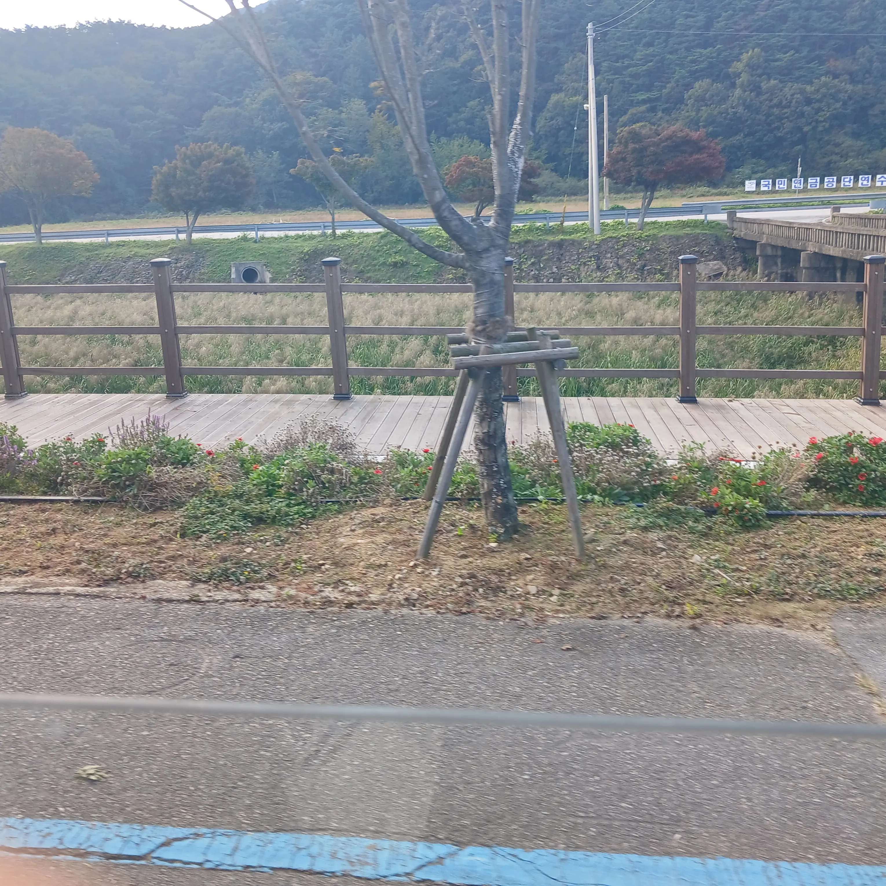 NosySlur5745의 뜰팁여관