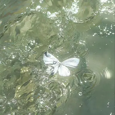 Profile image of 티푸