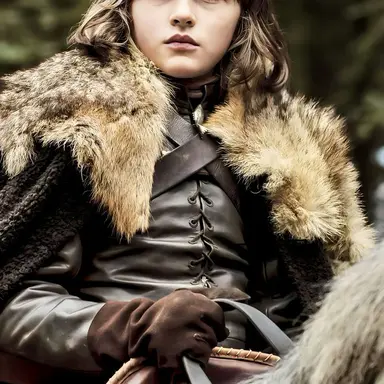 Profile image of Bran Stark