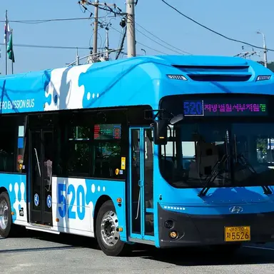 Profile image of 520