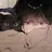 박주환