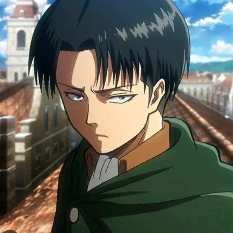 LaxestEra2225의 Levi