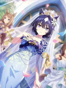 Profile image of ヴィルシーナ