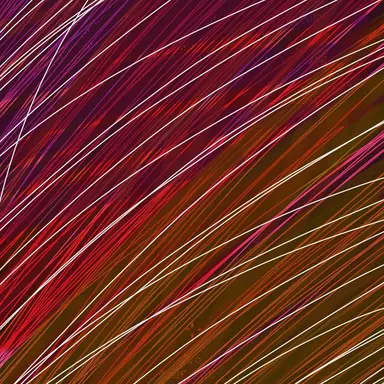 Profile image of 리체