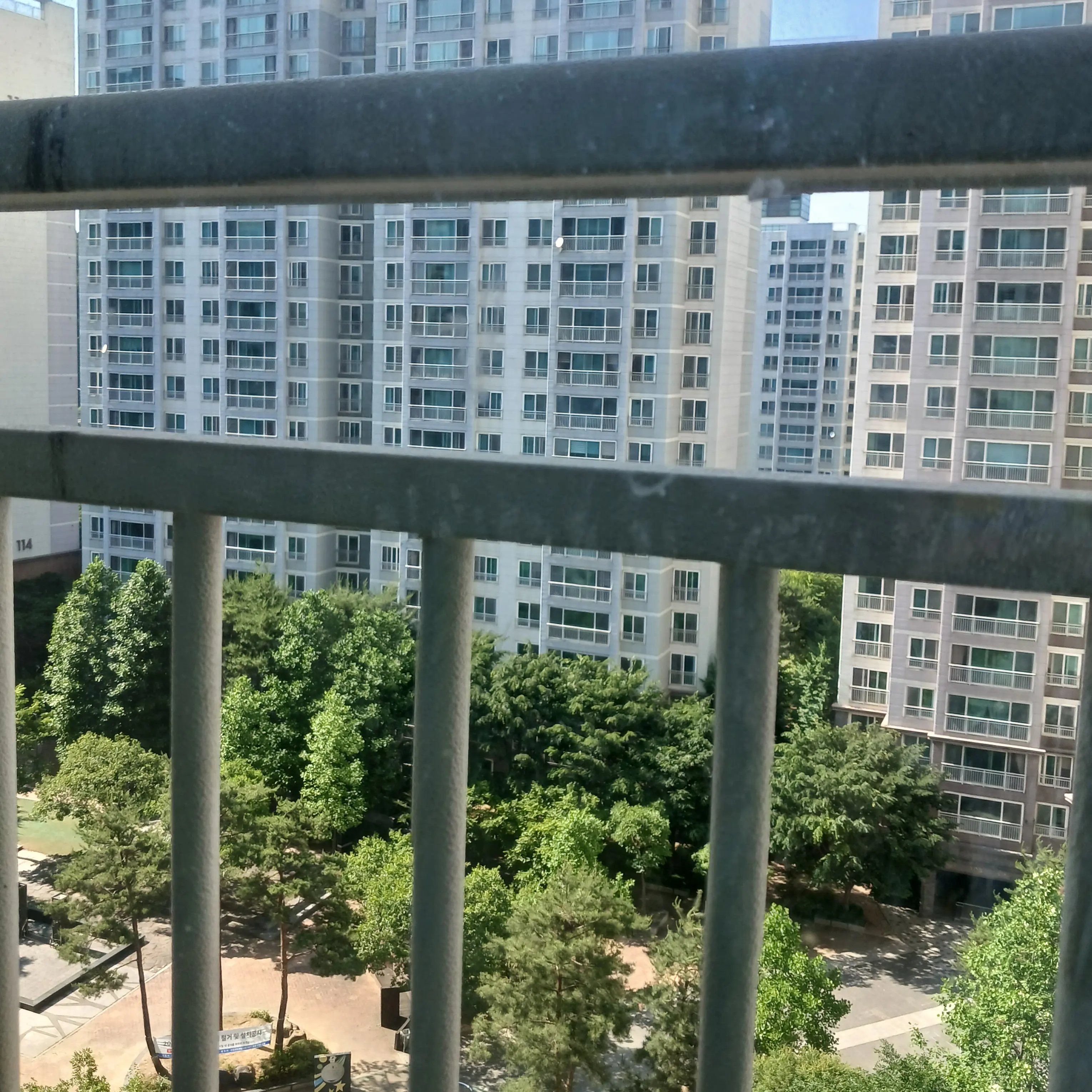 AgedMud6879의 키자니아 주들과 가기