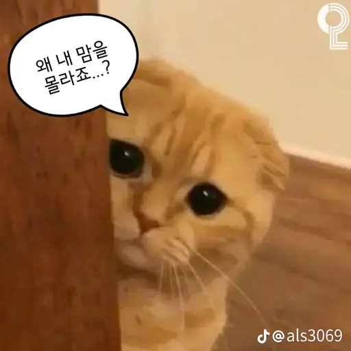 NeatEel5977의 형준