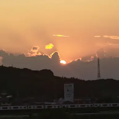 Profile image of 駿