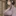 二条院 奈々未