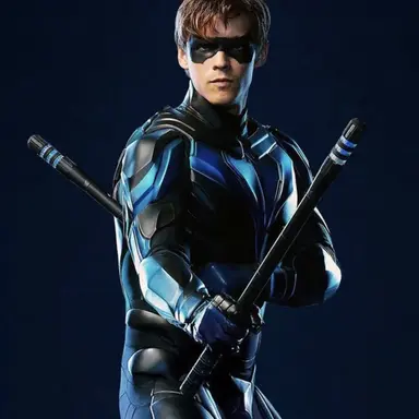 Profile image of Nightwing