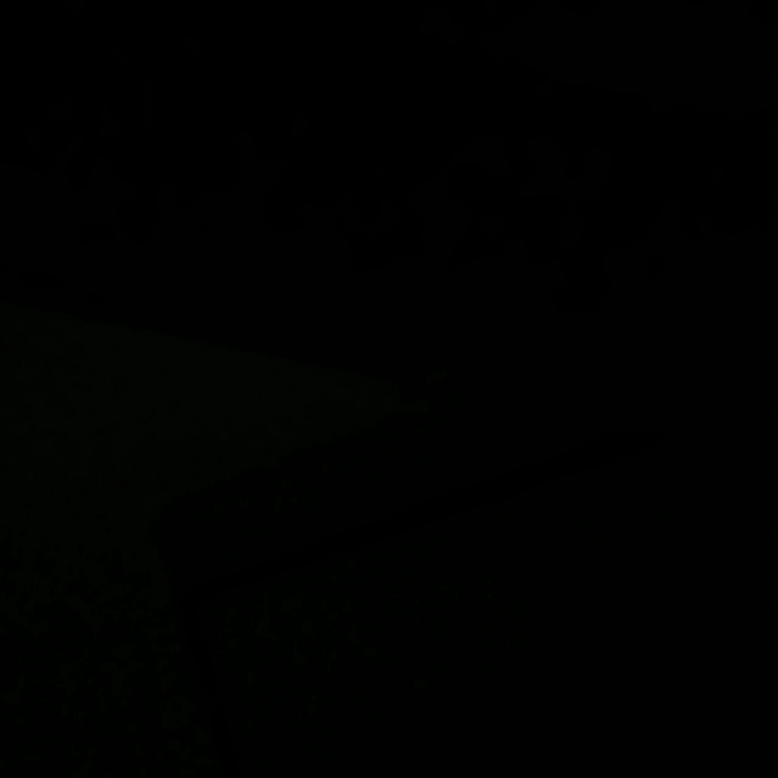 잭