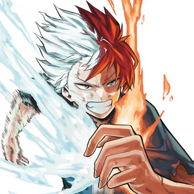 Profile image of Shoto Todoroki