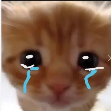 Profile image of 불쌍한 브카