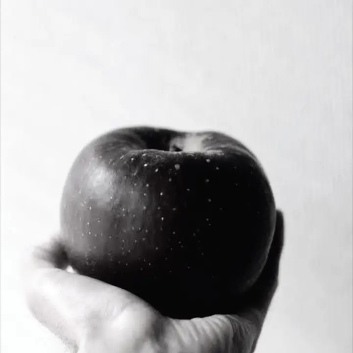 shatikoe_0904의 🫣