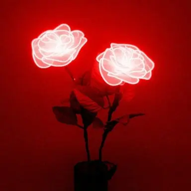 Profile image of 앵보