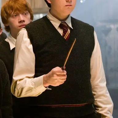Profile image of Neville Longbottom