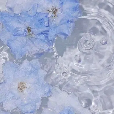 Profile image of 카미야마 토모히로