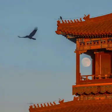 Profile image of 홍루