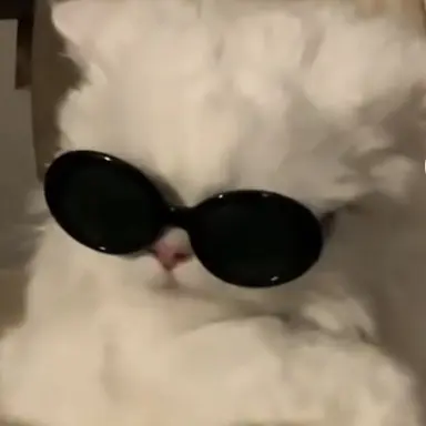 Profile image of I kil you