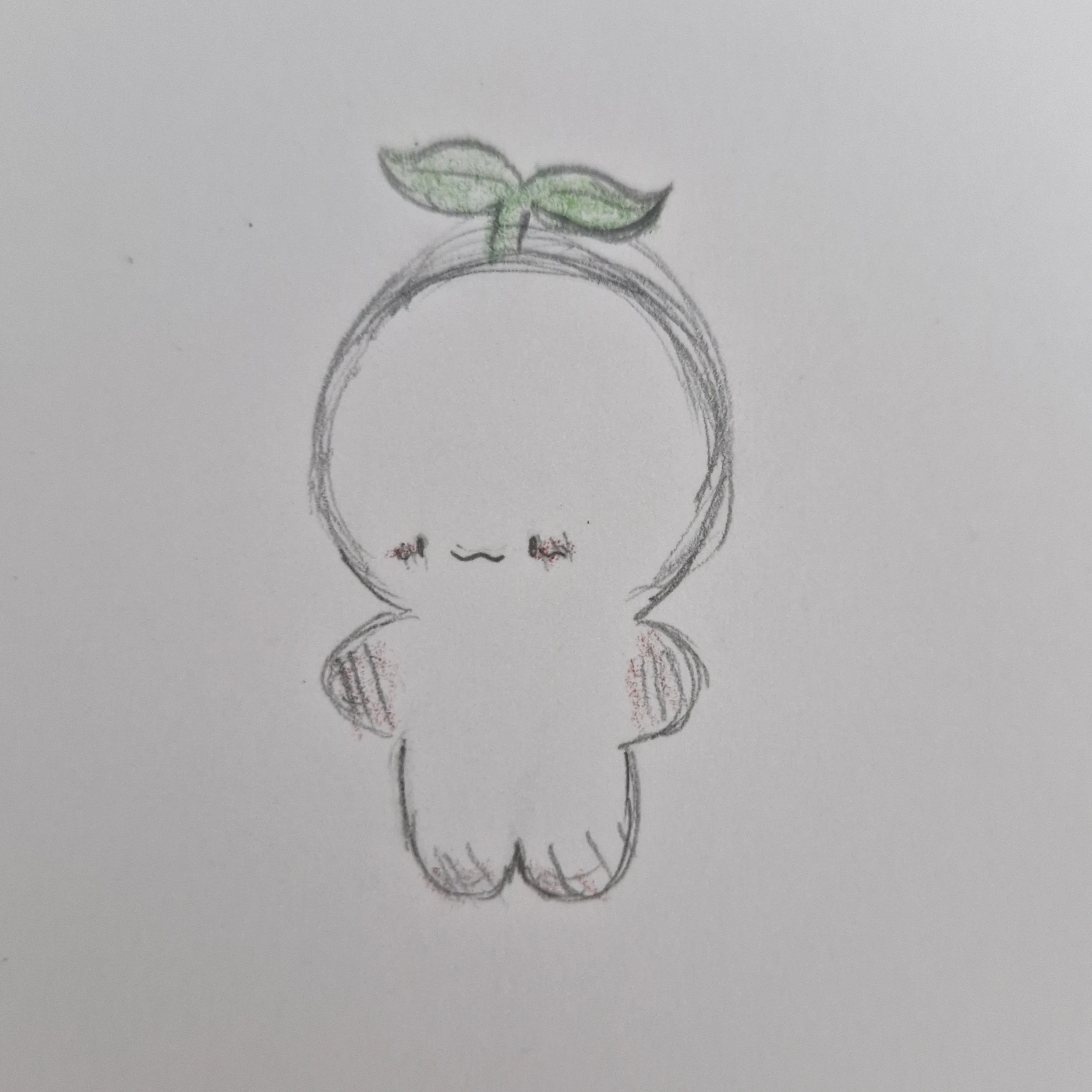 새싸기