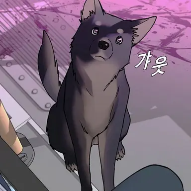 Profile image of 흑구