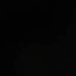 Profile image of 김동현